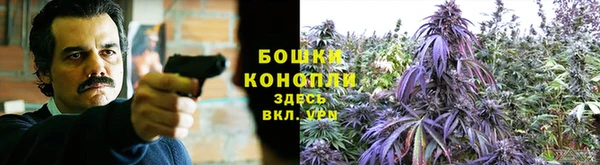 марихуана Горнозаводск