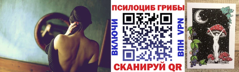 MEGA как зайти  цены   Миасс  Галлюциногенные грибы Psilocybine cubensis 
